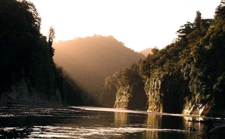 Vue en canoé de la Whanganui River