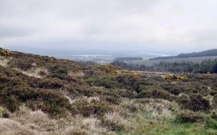 Wicklow mountains