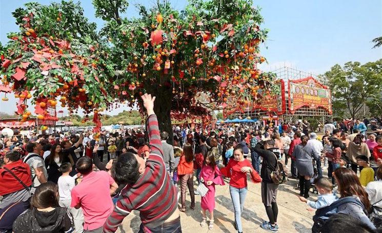 arbre a voeux hong kong