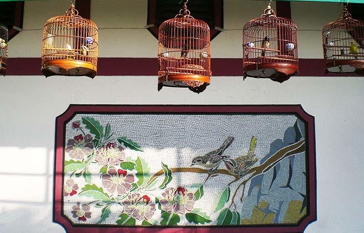 cages d'oiseaux à Hong Kong